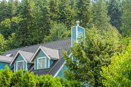 Roof line of a blue house among mature trees cared for by tree company in Smithville